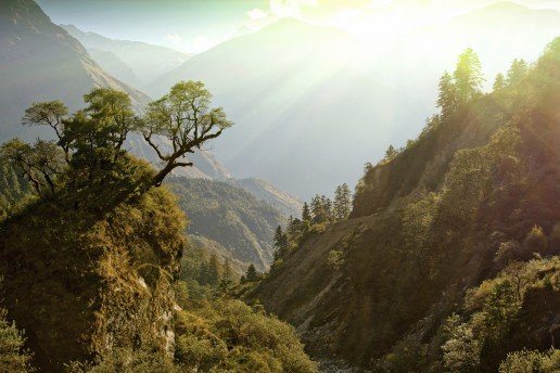Chitwan
