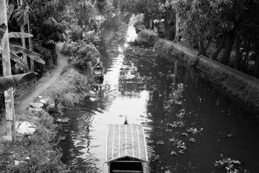 Canoe
