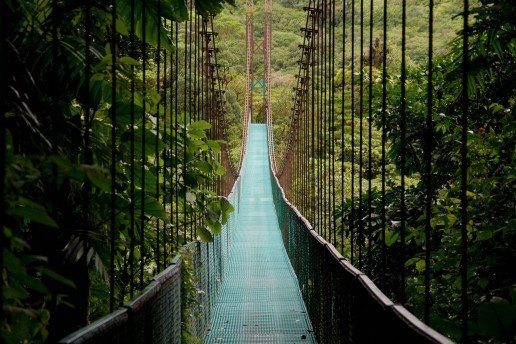 Sky Walk