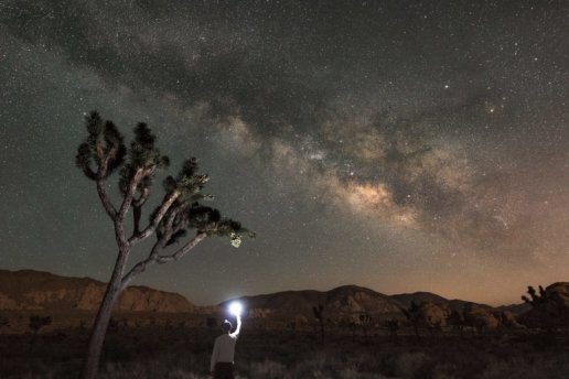 Yosemite Photography Tour