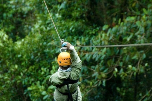 Zip Line