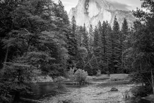 Ansel Adams